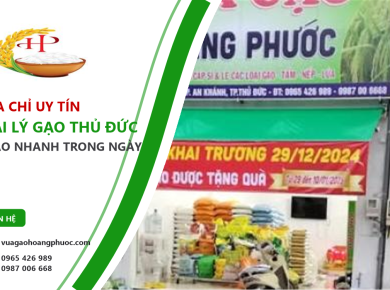 Đại lý gạo Thủ Đức - 6 tiêu chí chọn đúng nơi mua uy tín