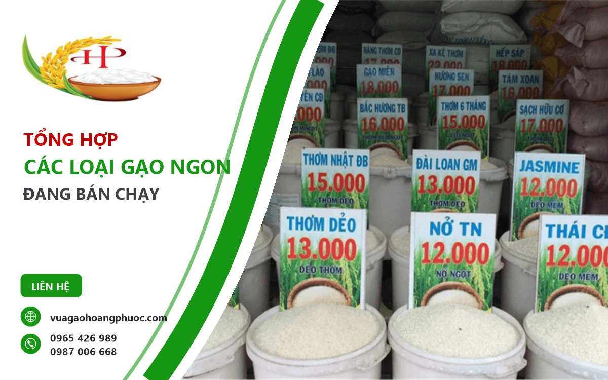 Các loại gạo ngon