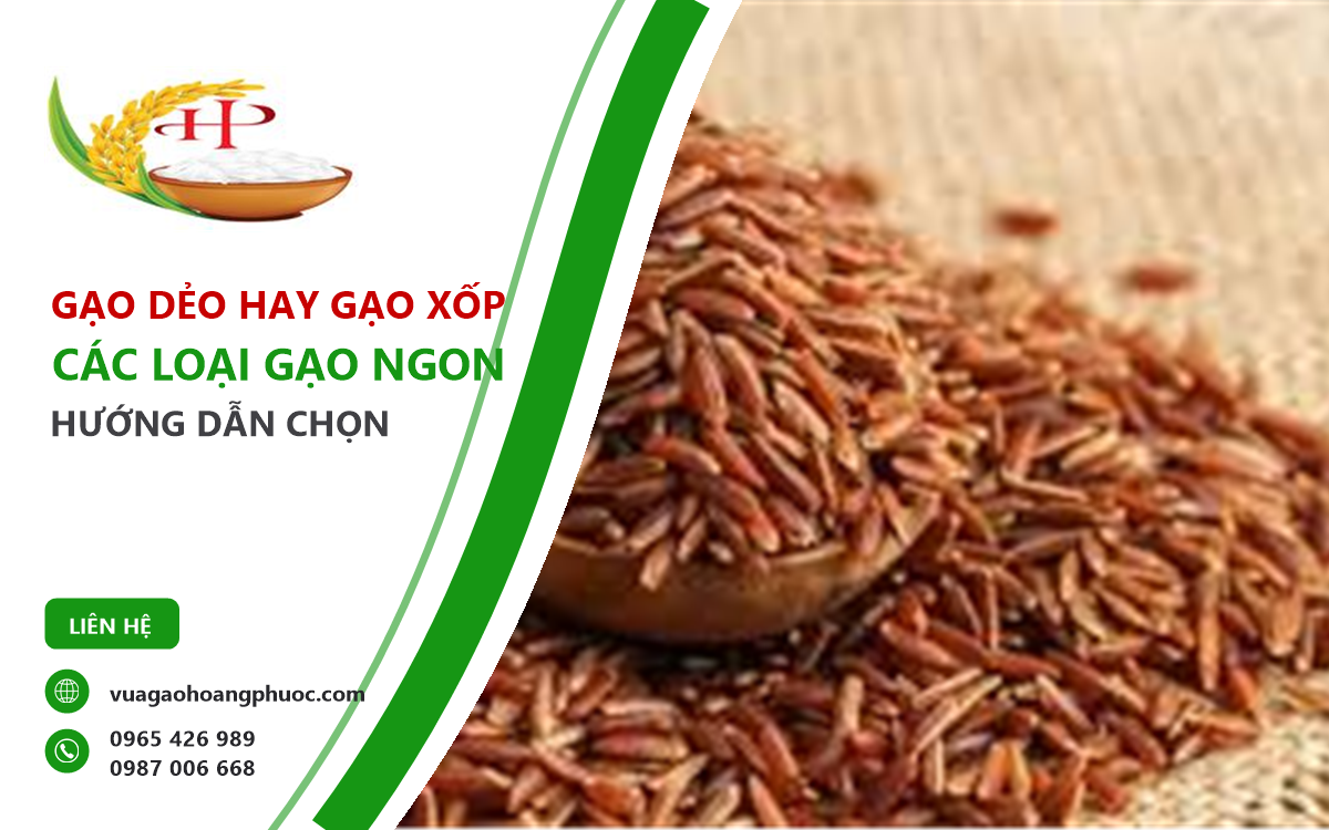 gạo dẻo hay gạo xốp nên chọn loại nào