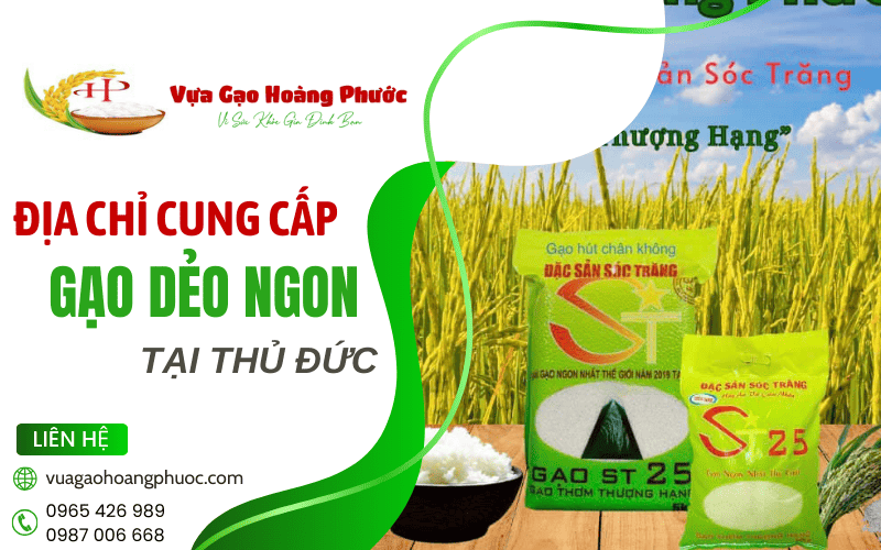 gạo dẻo ngon Thủ Đức